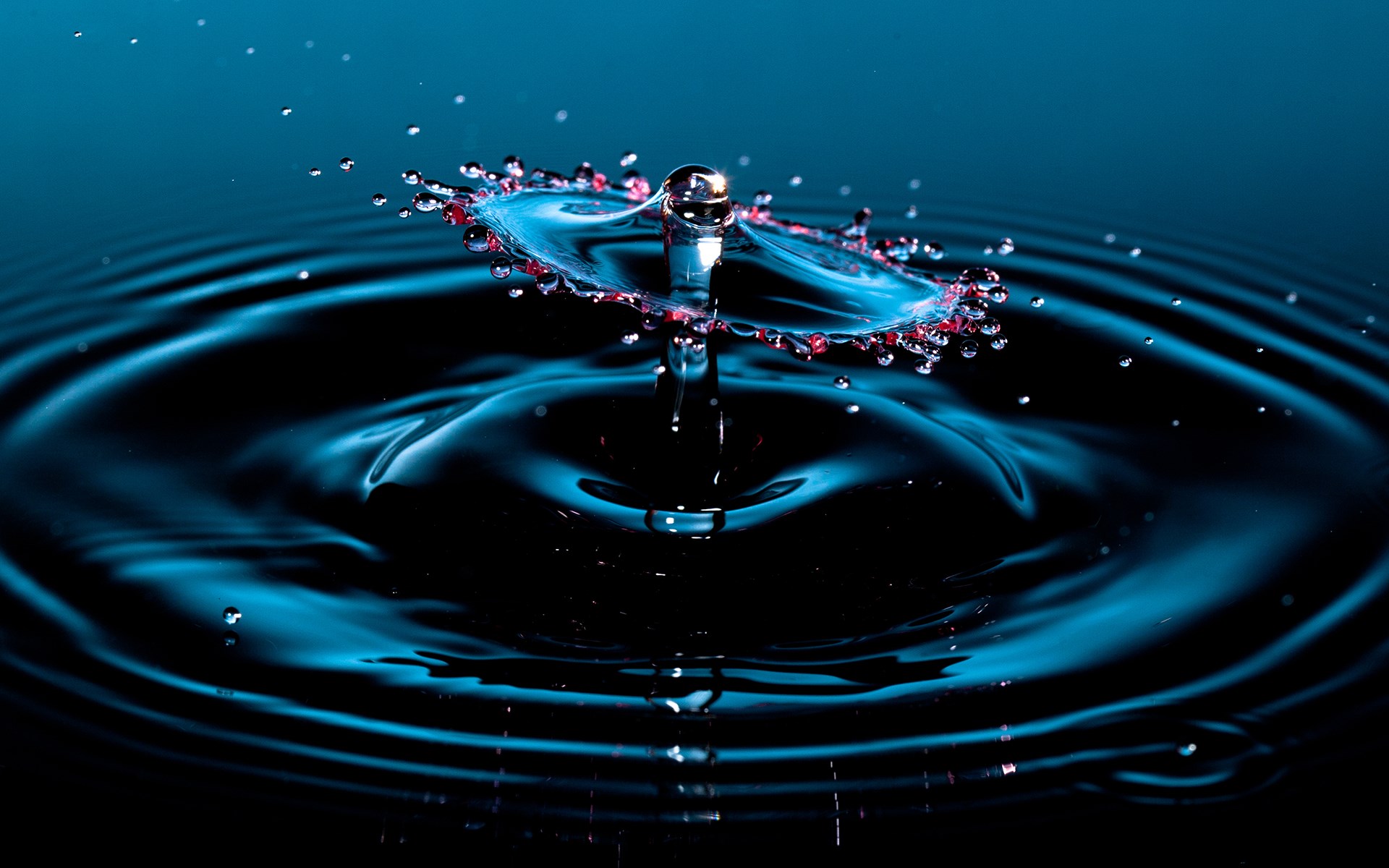Water Drops Photography Stop Wallpaper
