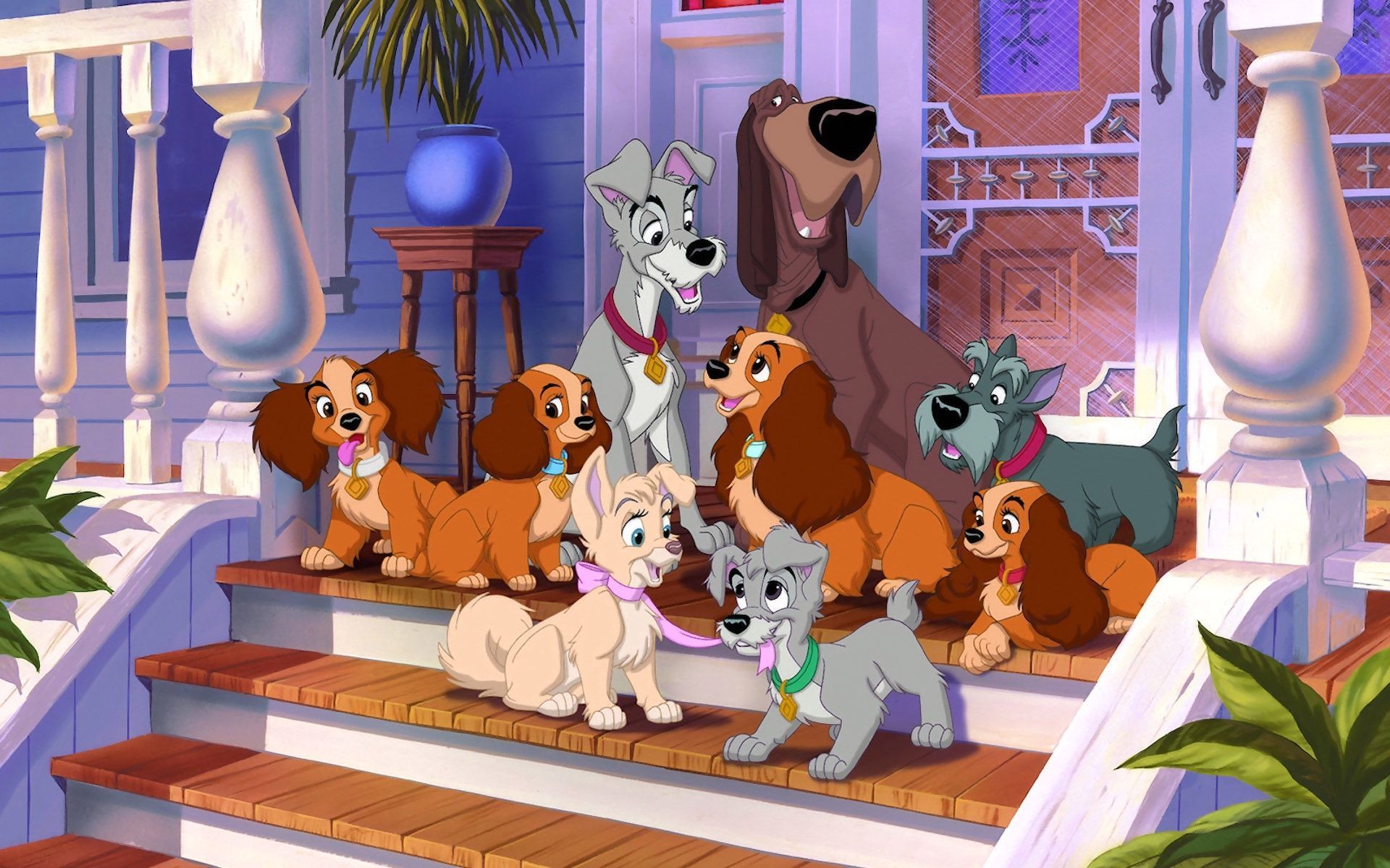 Movies Lady And The Tramp Picture Nr