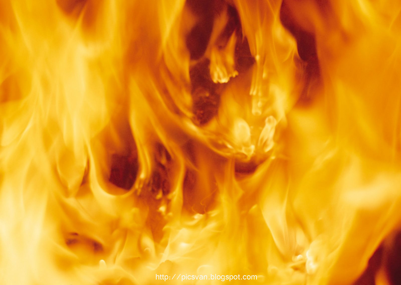 Fire Background Psd Background HD Collection