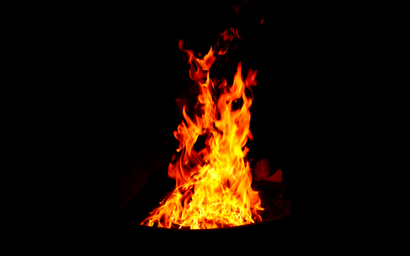 Burning fire on black background · Free Stock Photo