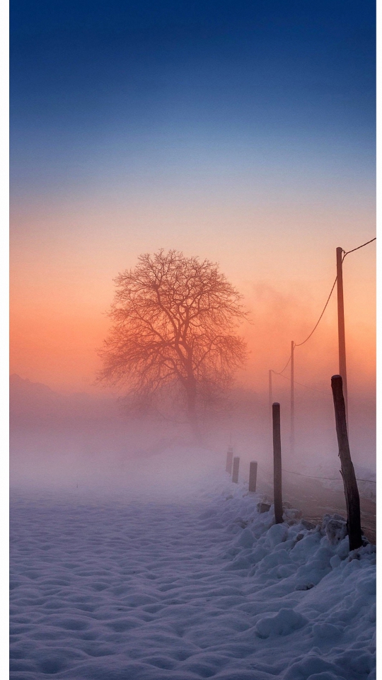 Winter Scenery iPhone 6s Plus Wallpaper HD