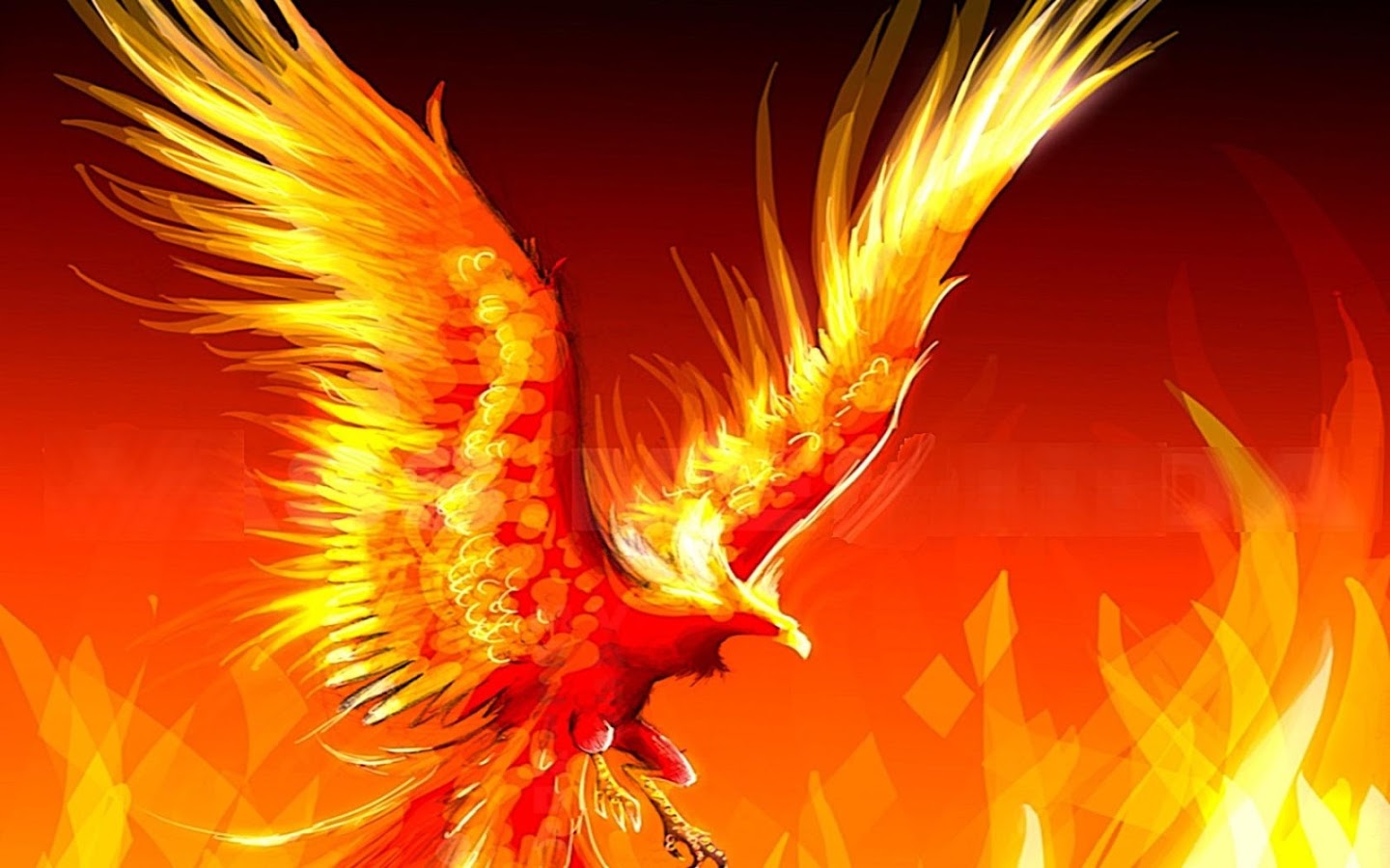 4K Phoenix Bird Wallpapers  Top Free 4K Phoenix Bird Backgrounds   WallpaperAccess