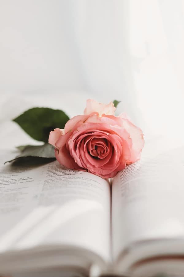 Books and flowers Book graphy Book aesthetic Book HD phone wallpaper   Pxfuel