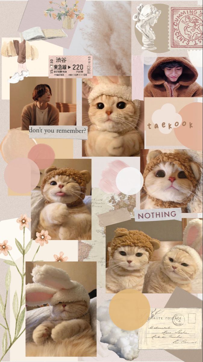 taekook cute cat brown aesthetic wallpaper in 2021 Iphone