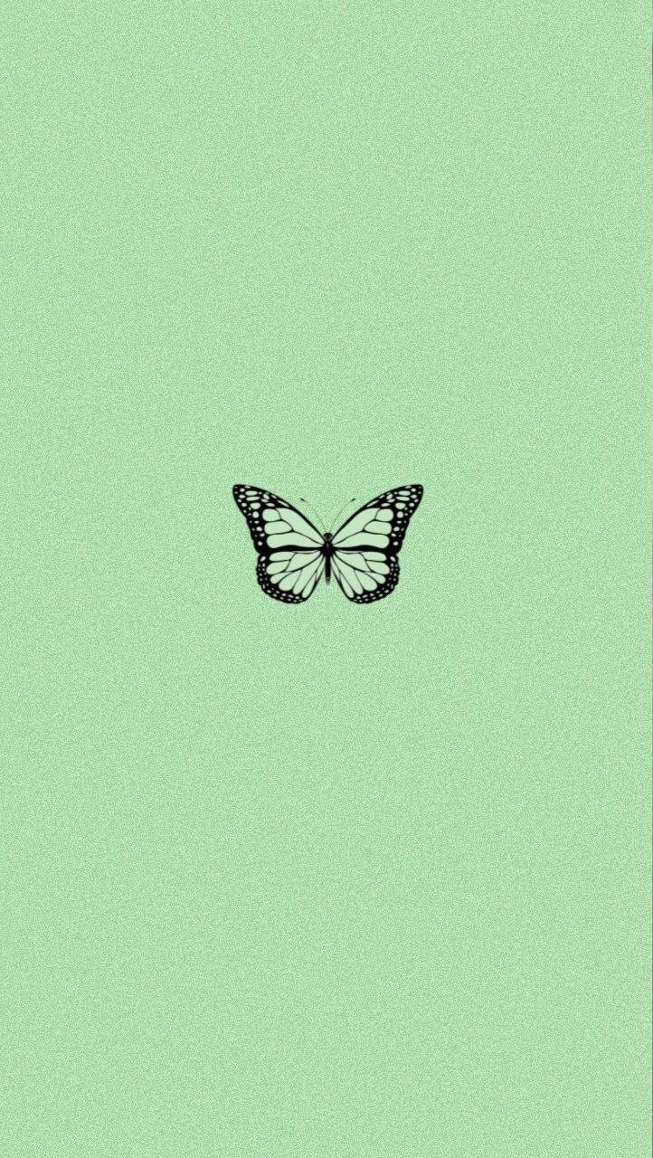 Mint Green iPhone Wallpaper