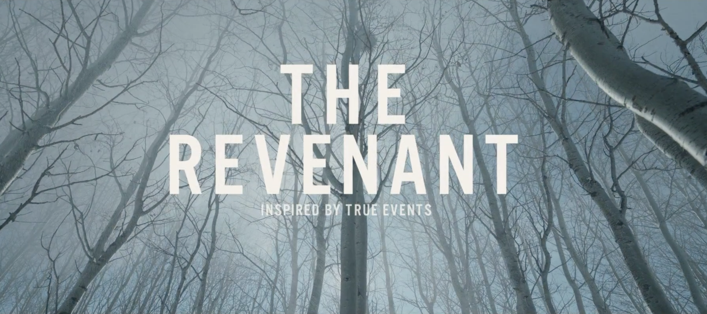 The Revenant Wallpaper S Movie Trailers Photo