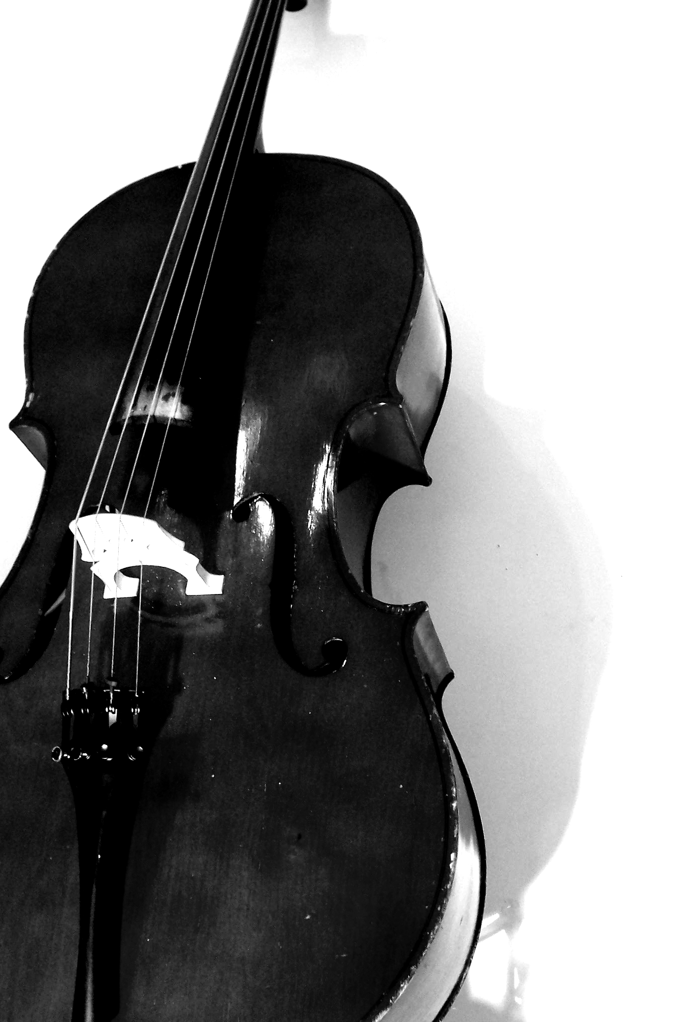 Cool Cello Wallpaper Portrait Of By