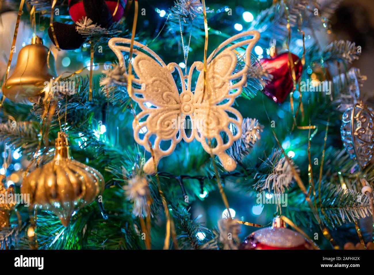 Christmas tree butterfly hi res stock photography and images