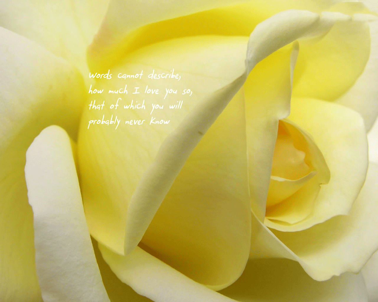 Sad Love Wallpaper
