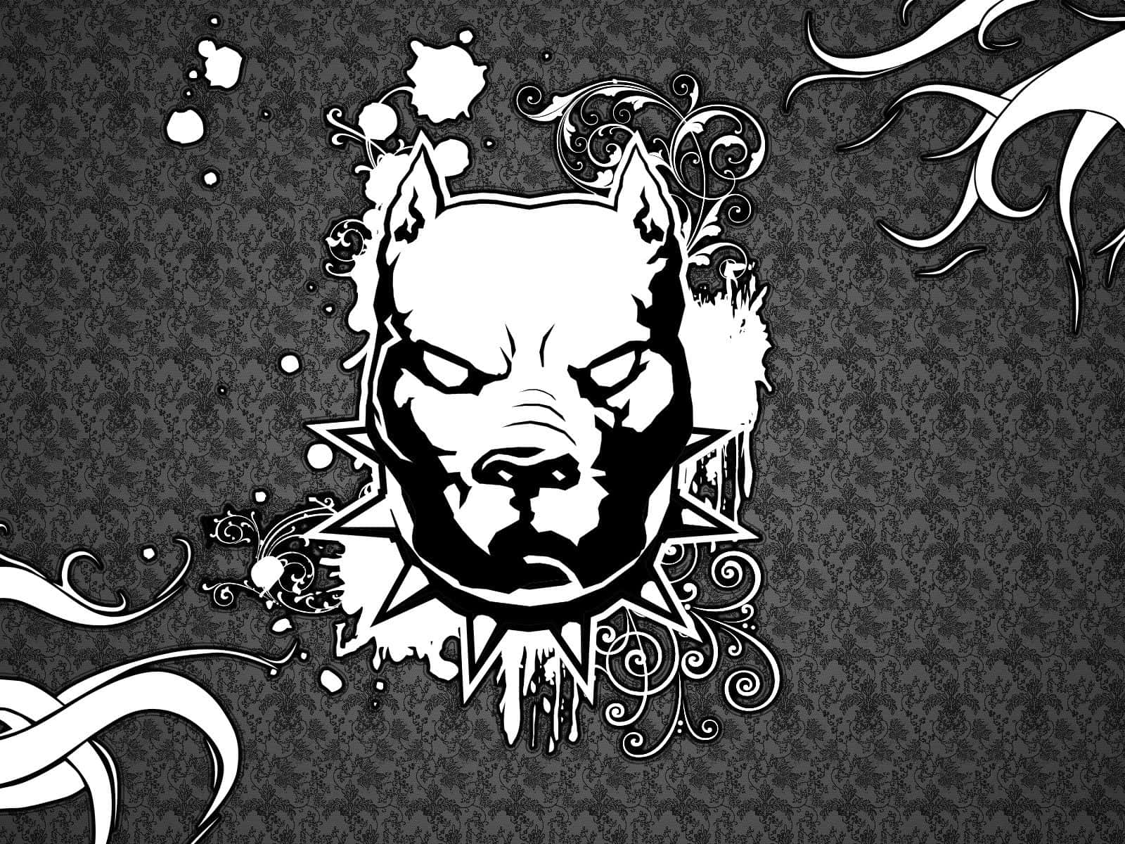 Black Pitbull I3shsbucejczylaw Wallpaper