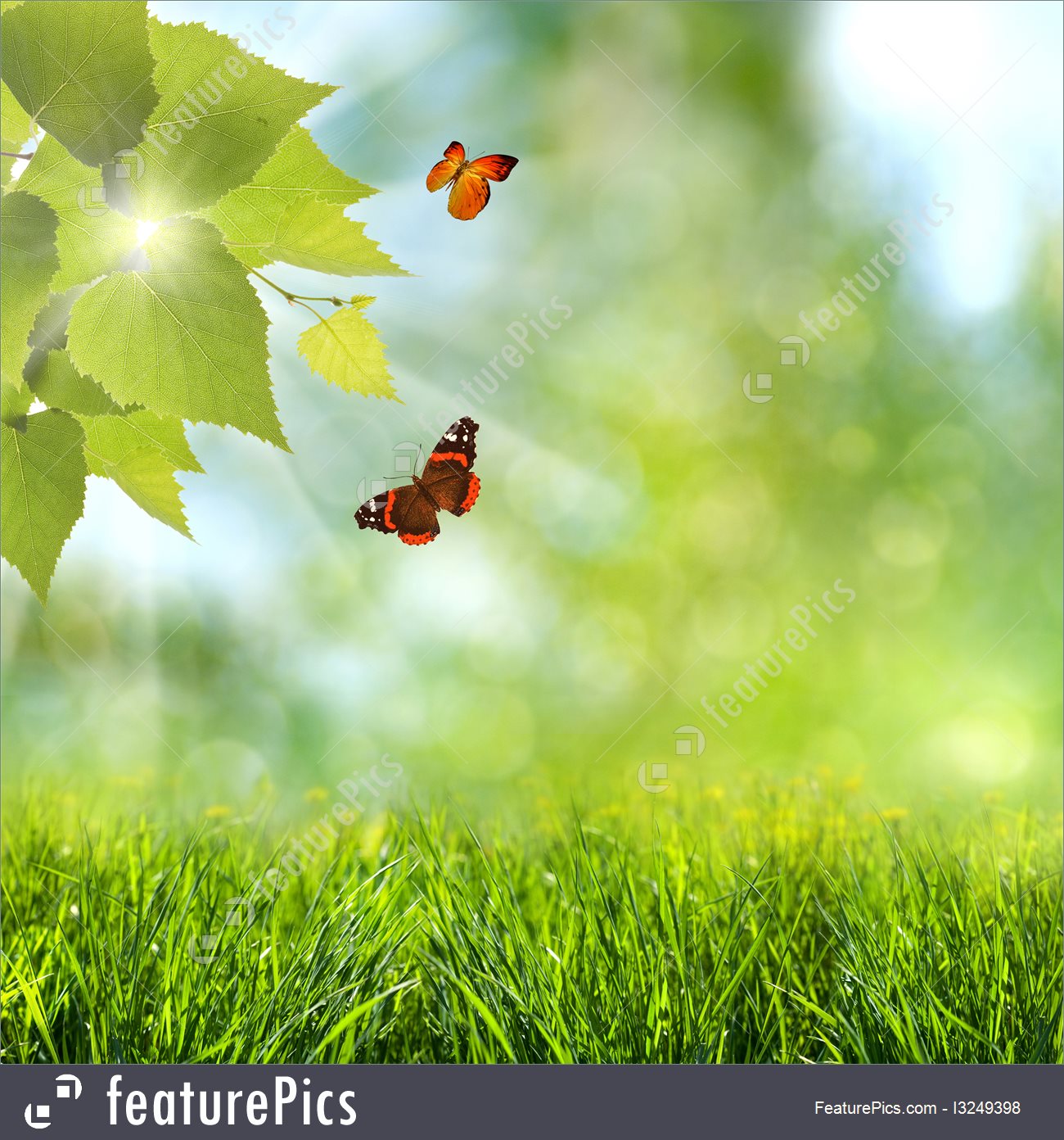 Free download Summer Season Summer Time Abstract Optimistic Backgrounds