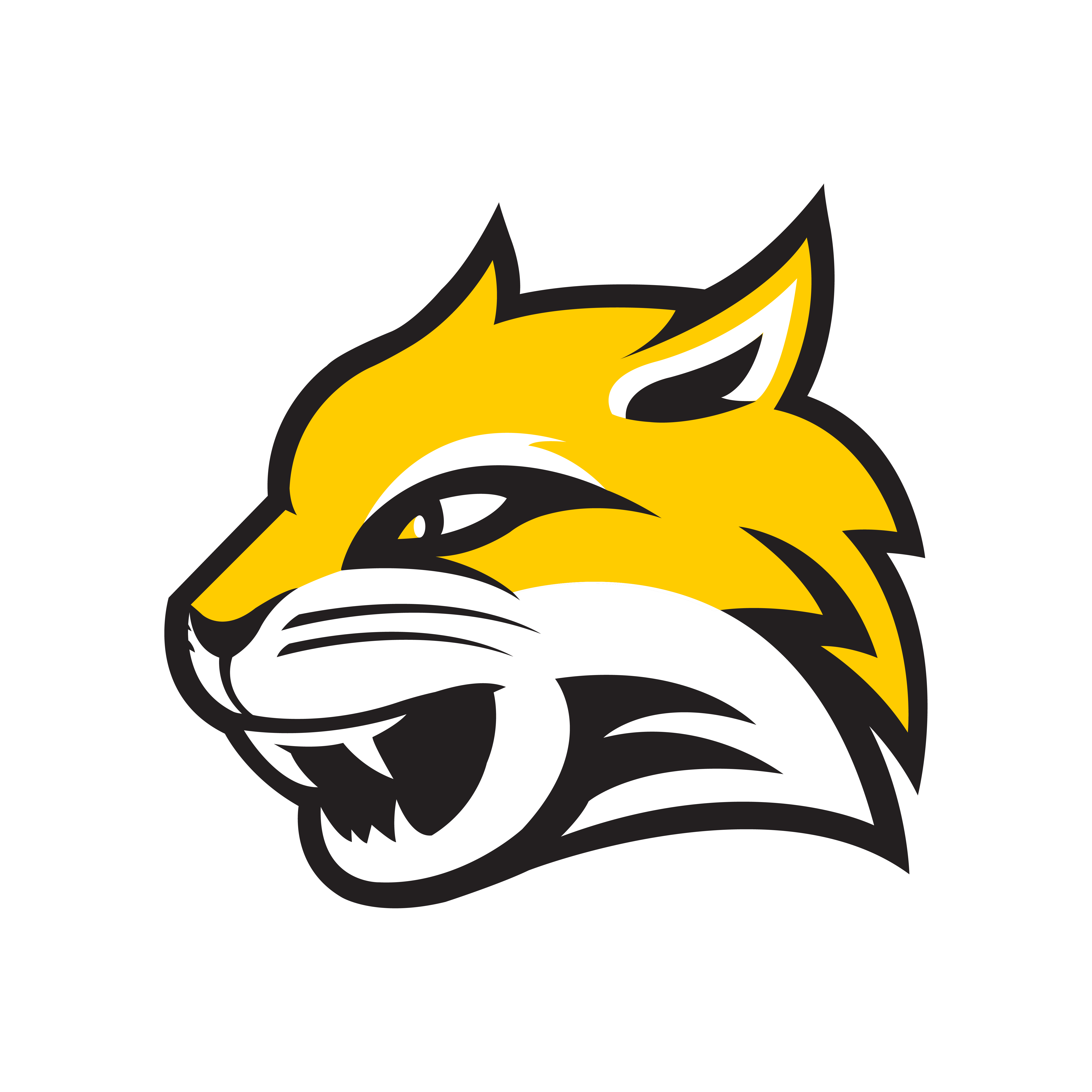 Wayne State College Wallpaper