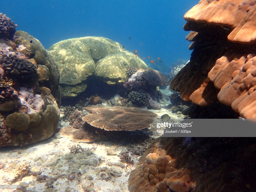 Two Mile Reef On Bazaruto Archipelago High Res Stock Photo Getty
