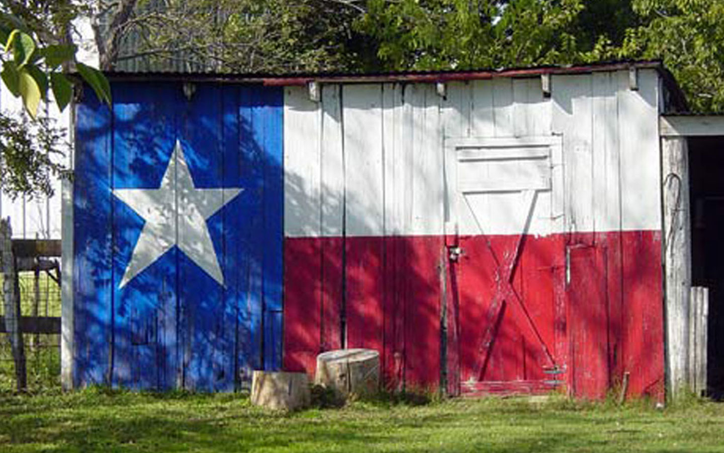 Texas USA Flag Pictures