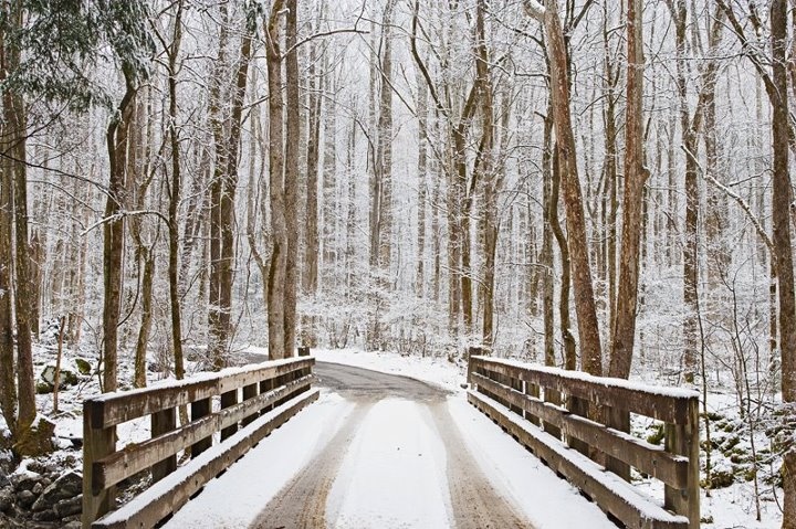 Lovely Winter Scene In The Greenbrier Area Of Smoky Mountains