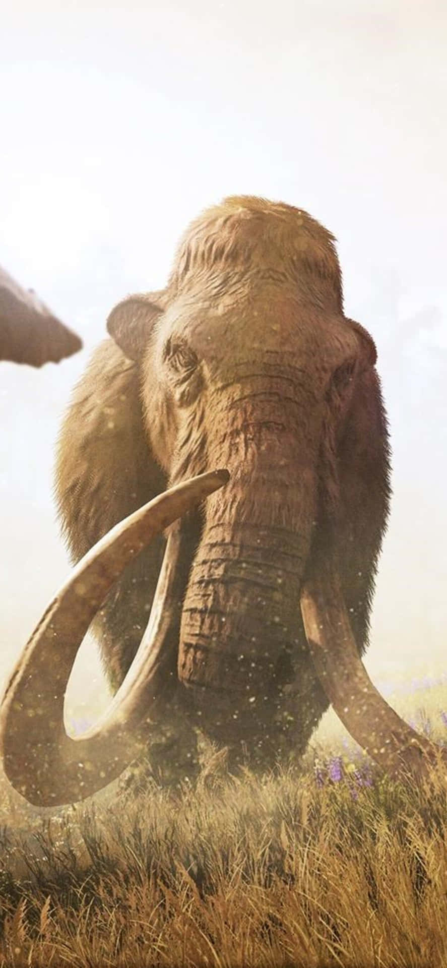 Enjoy A Breathtaking Of The Landscape Far Cry On Wallpaper