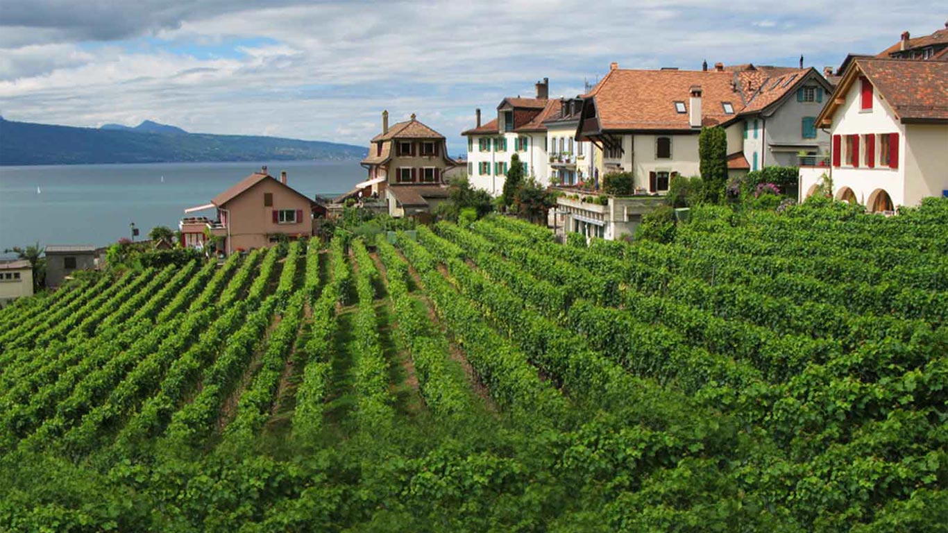 Assam Tour Package Holiday Packages Book