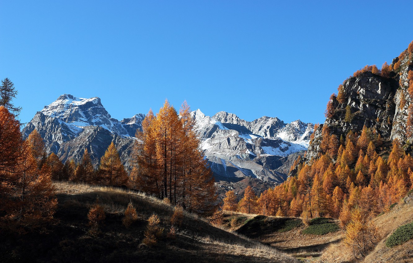 Wallpaper Autumn Forest Mountains Italy Piedmont
