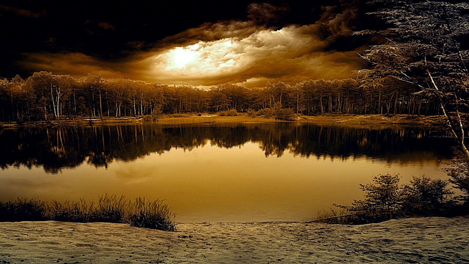 Serene Golden Lake at Sunset with Forest Reflection