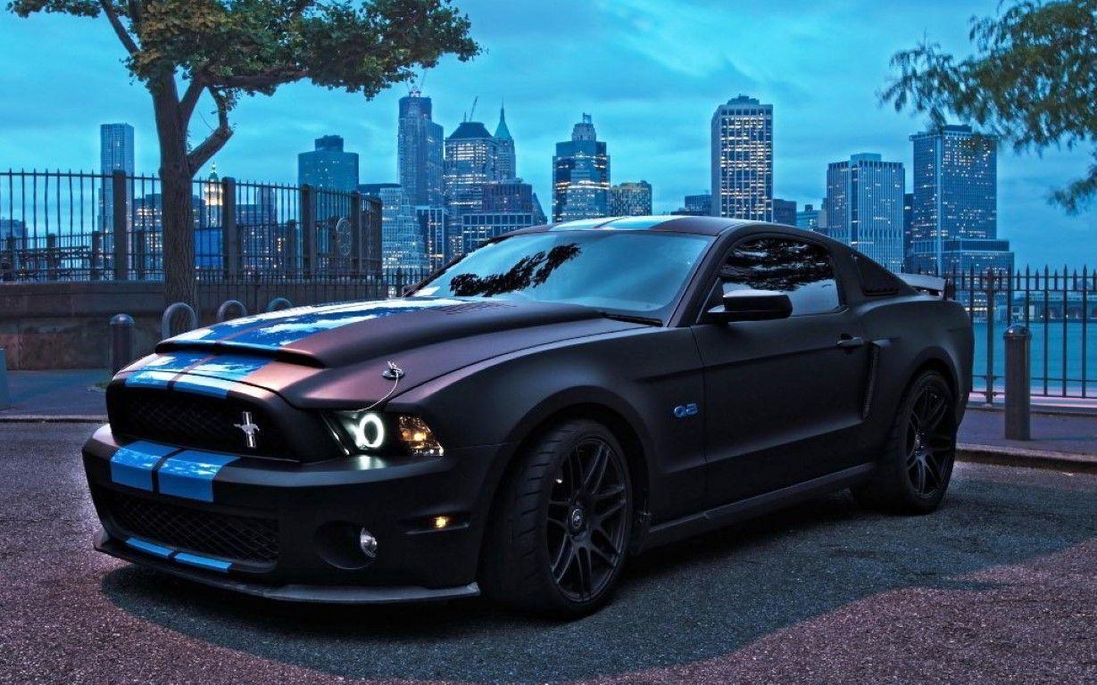 2015 Ford Mustang Shelby Wallpapers 1229x768