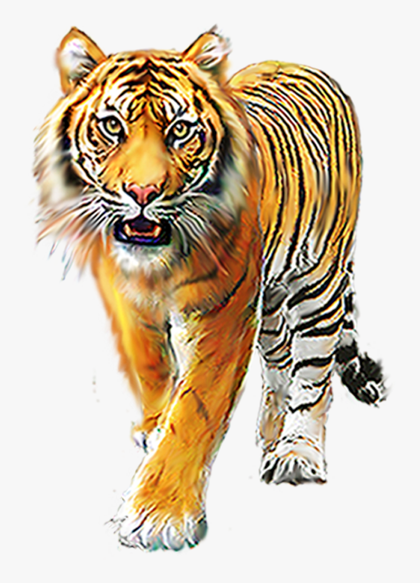 Cartoon Tiger Background Image For Editing Picsart