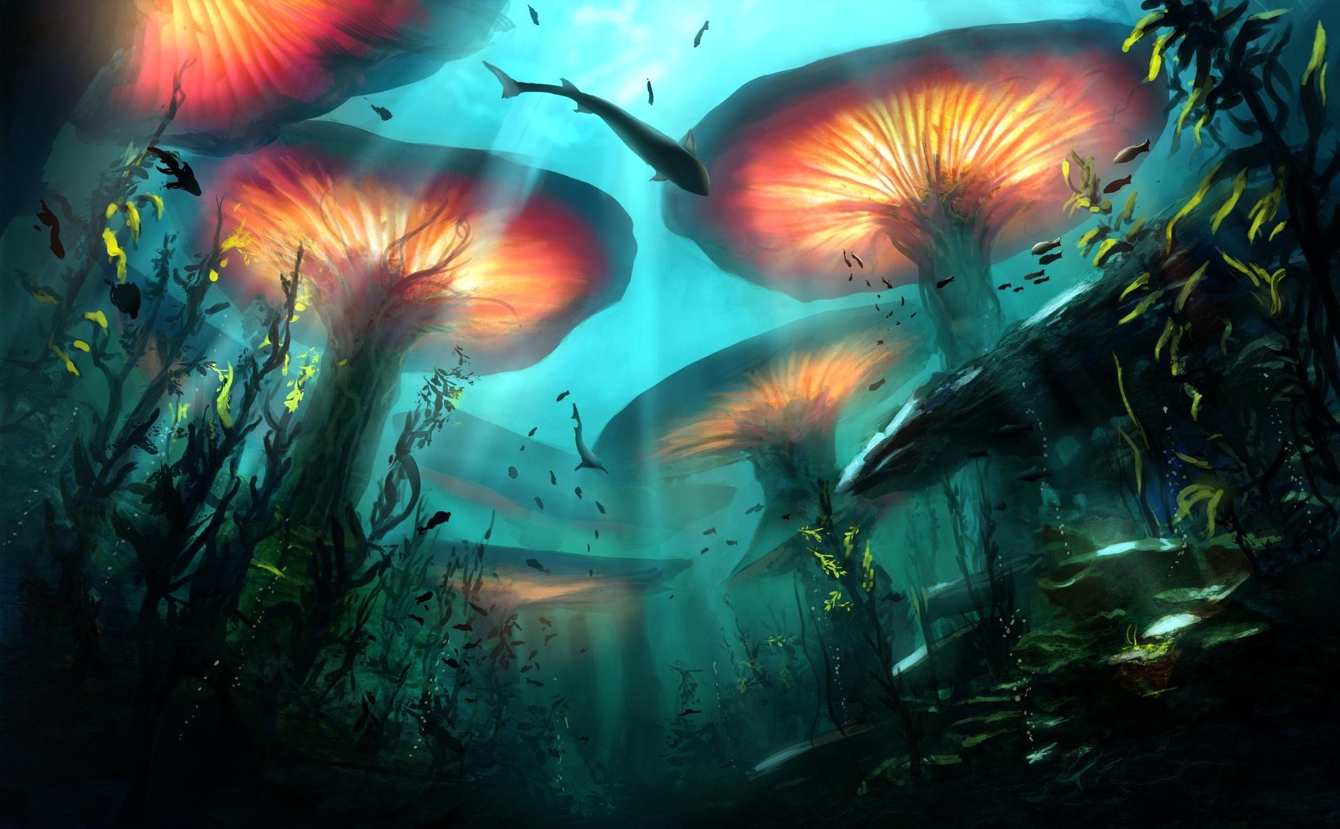 Mushroom HD Wallpaper Background