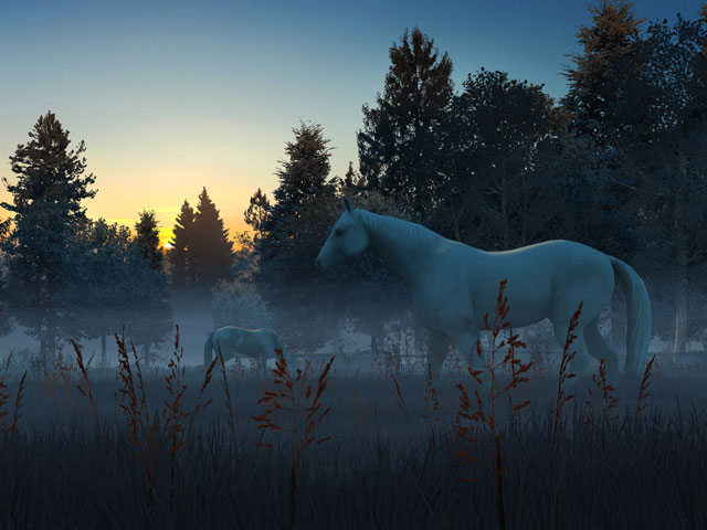 Nature 3d Screensavers Fog Horses Live Wallpaper A Foggy Dawn