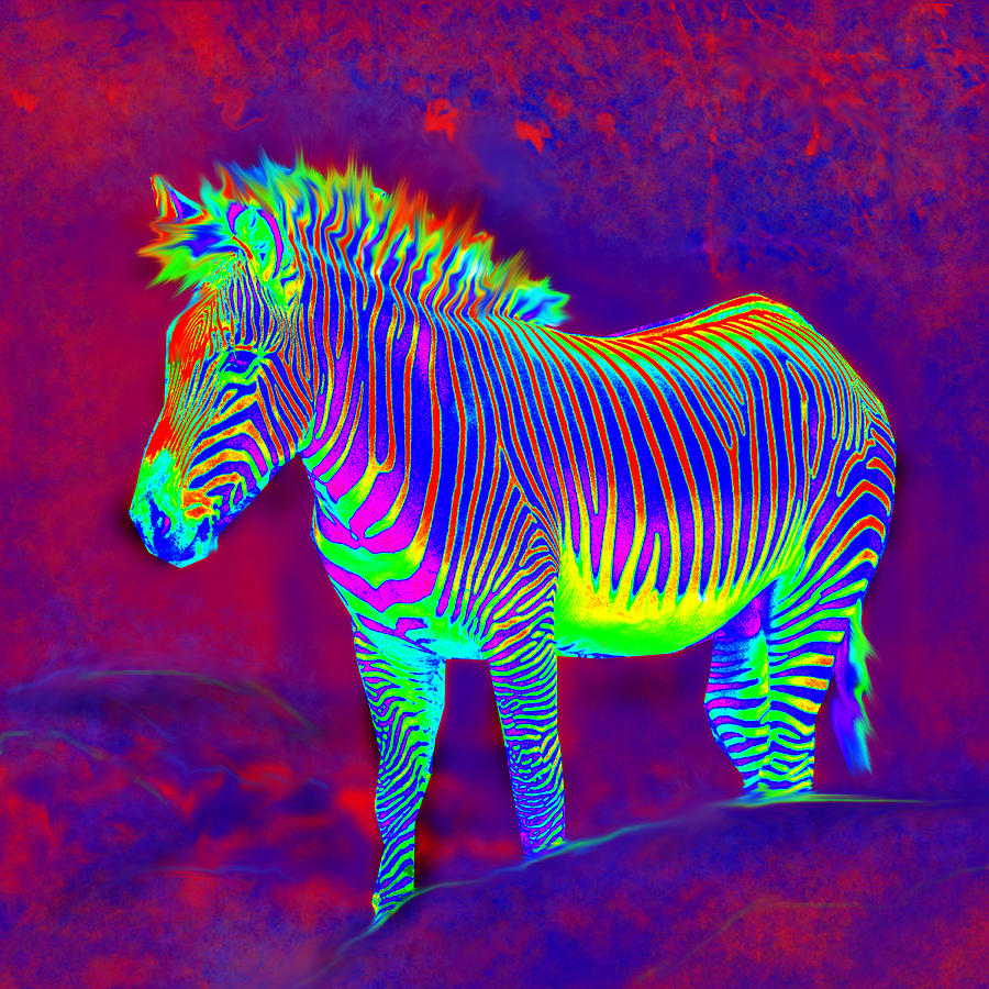 Neon Zebra By Jane Schlage