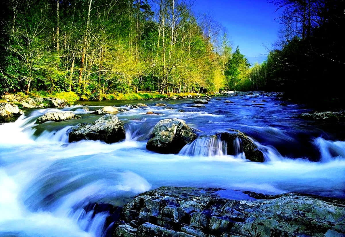 River Wallpaper