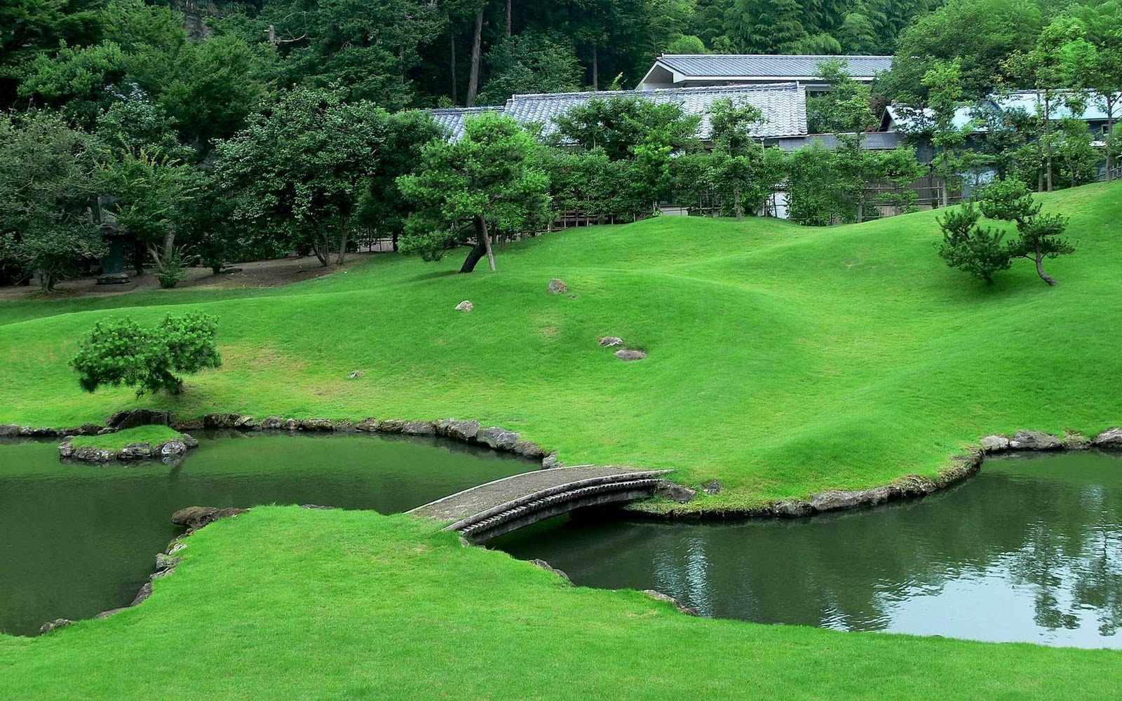 Stunning Golf Fields Landscapes HD Wallpaper Desktop