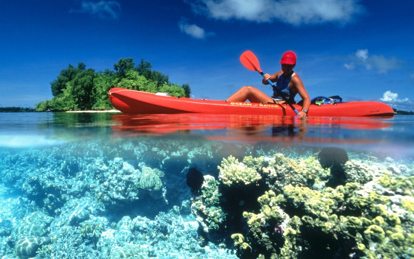 Coral Reef Desktop Background Chillcover Underwater