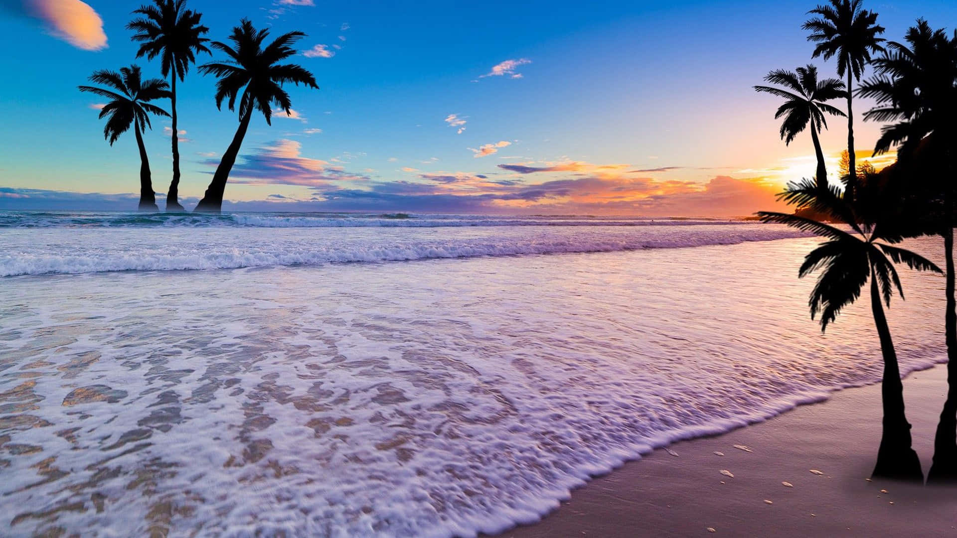 Palm Tree Beach Wallpaper