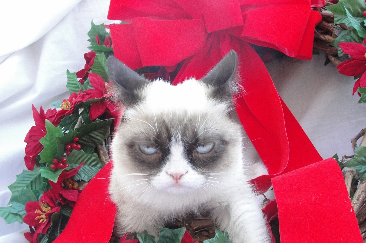 Top HD Wallpaper Grumpy Cat Christmas
