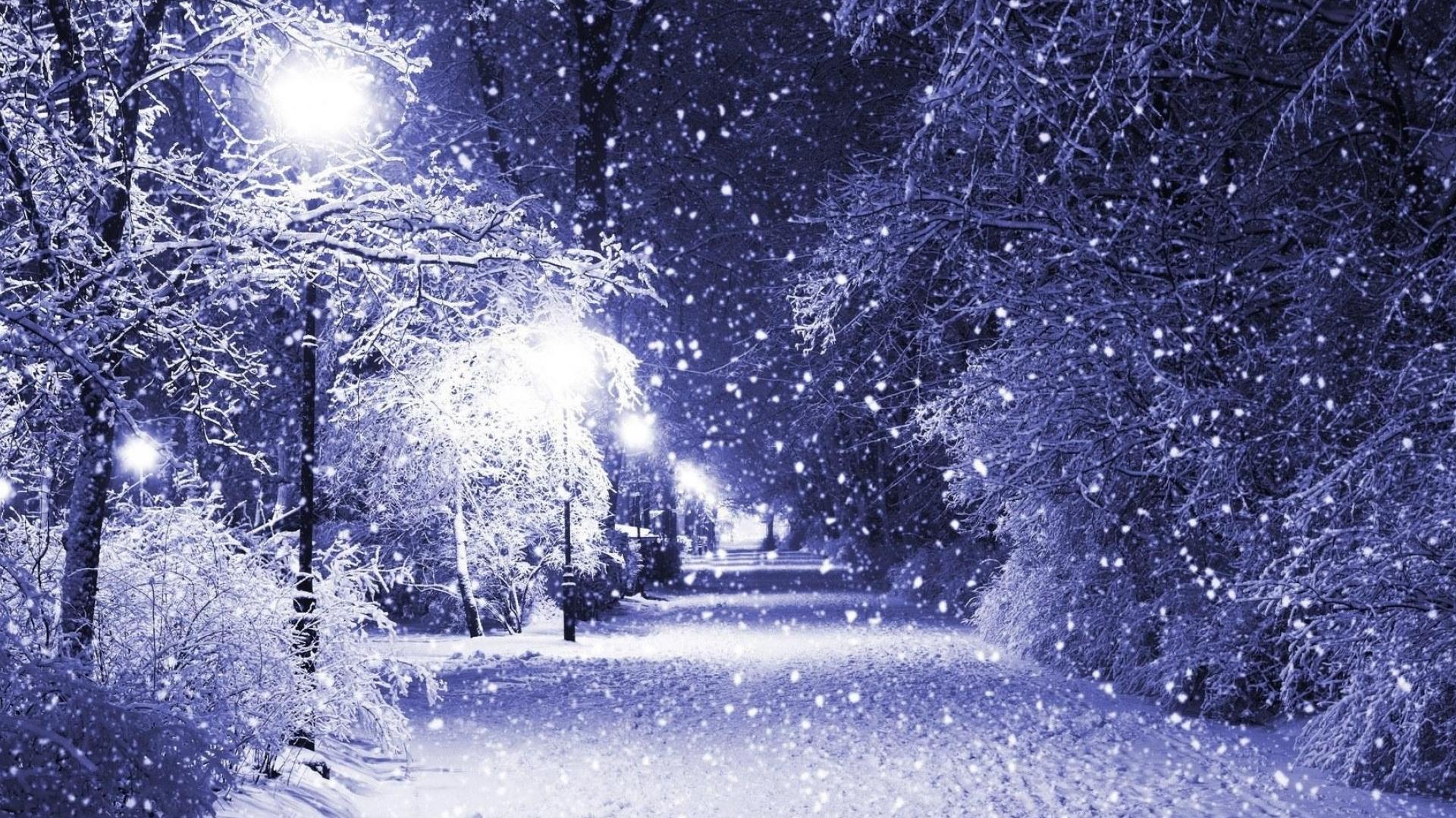 Winter Night Snow Landscape Wallpaper High Definition