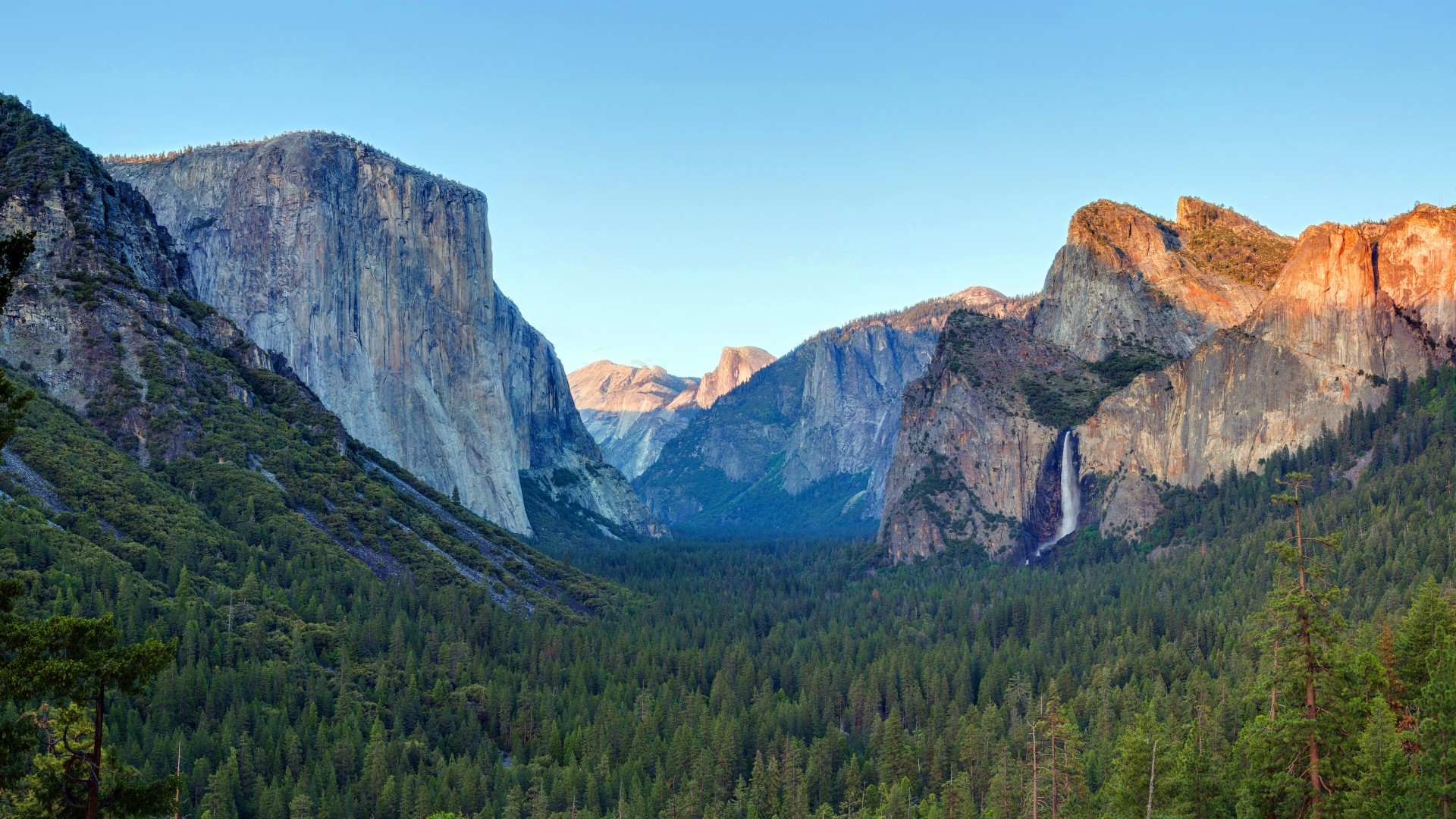 Forest Yosemite 5k Wallpaper Osx Apple Mountains