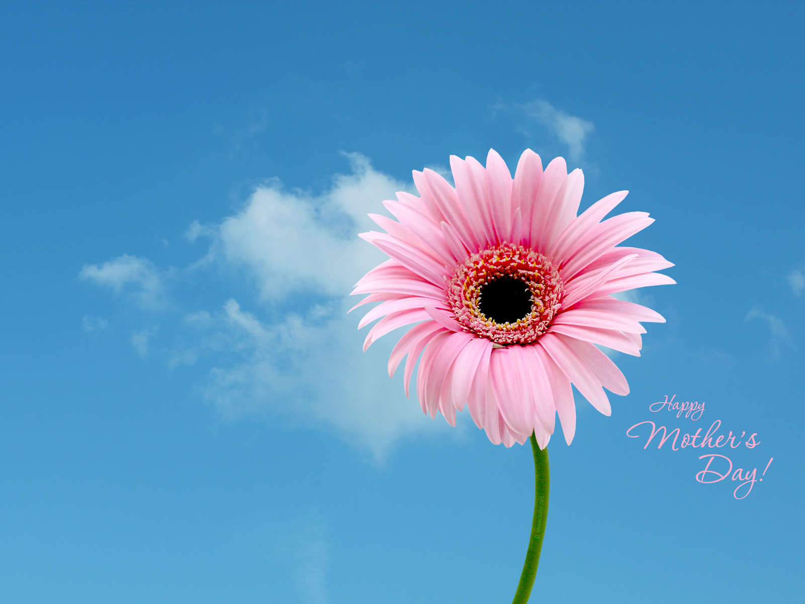 Best Mothers Day Background Holiday