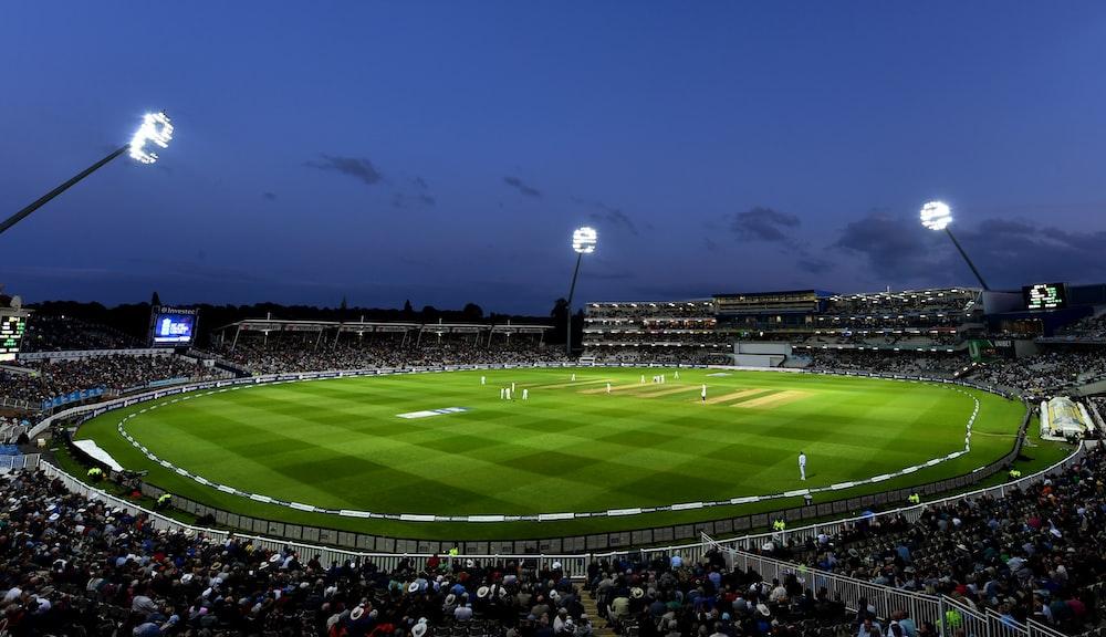 Cricket Wallpaper HD Image Stock