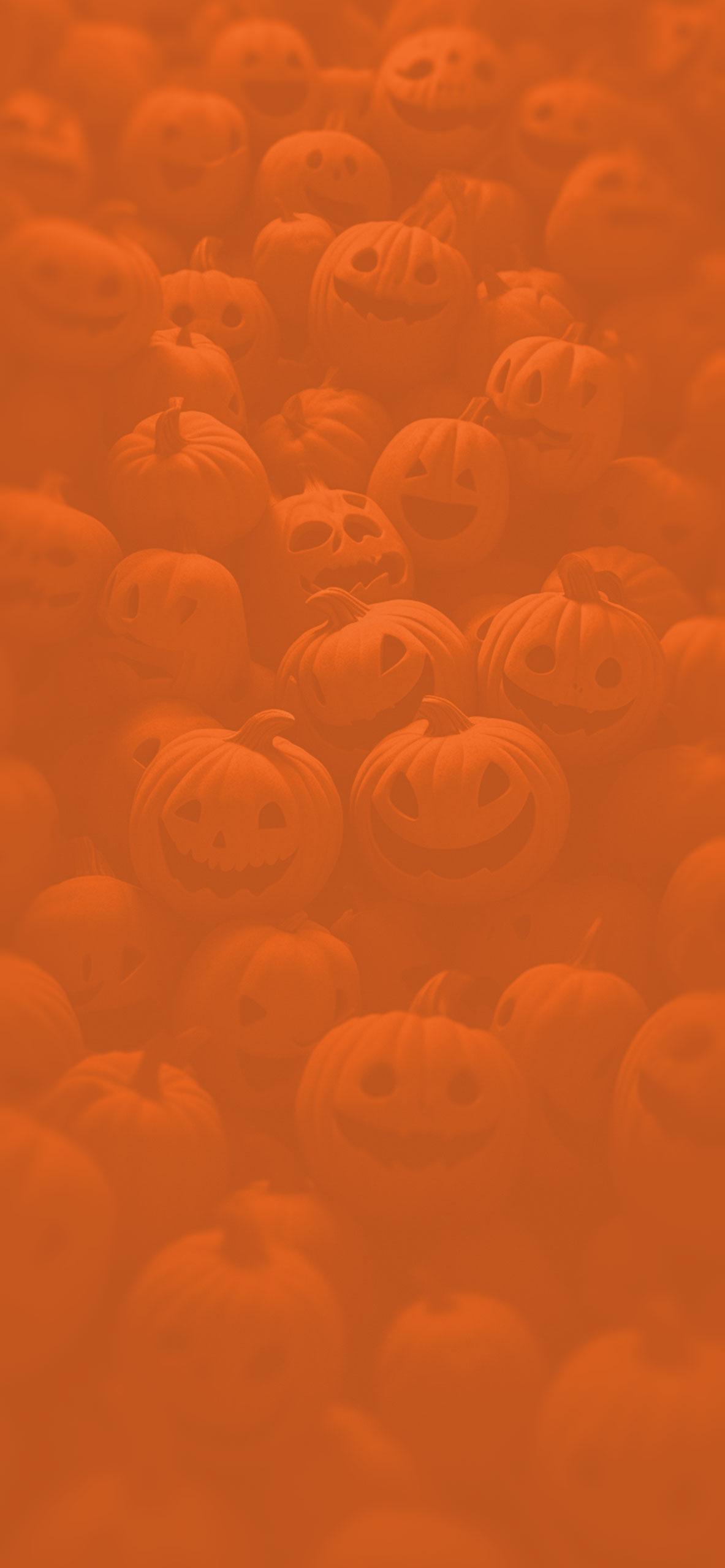 Funny Halloween Wallpapers   Free Halloween Pumpkin Wallpapers