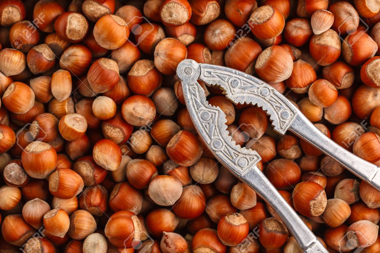 Free download Hazelnuts Food Background Photo Wallpaper With Nutcracker