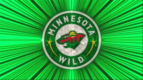 Wild Cracked Glass Home Minnesota Nhl Logo