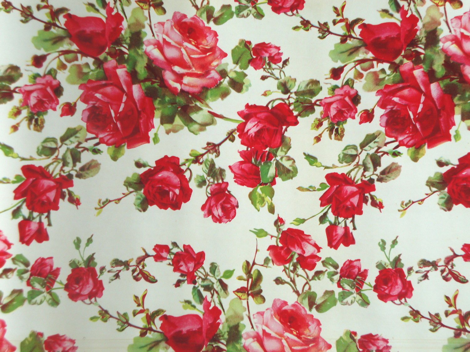 Vintage Roses Shelf Liner Paper Floral Flowers By Iwantvintage
