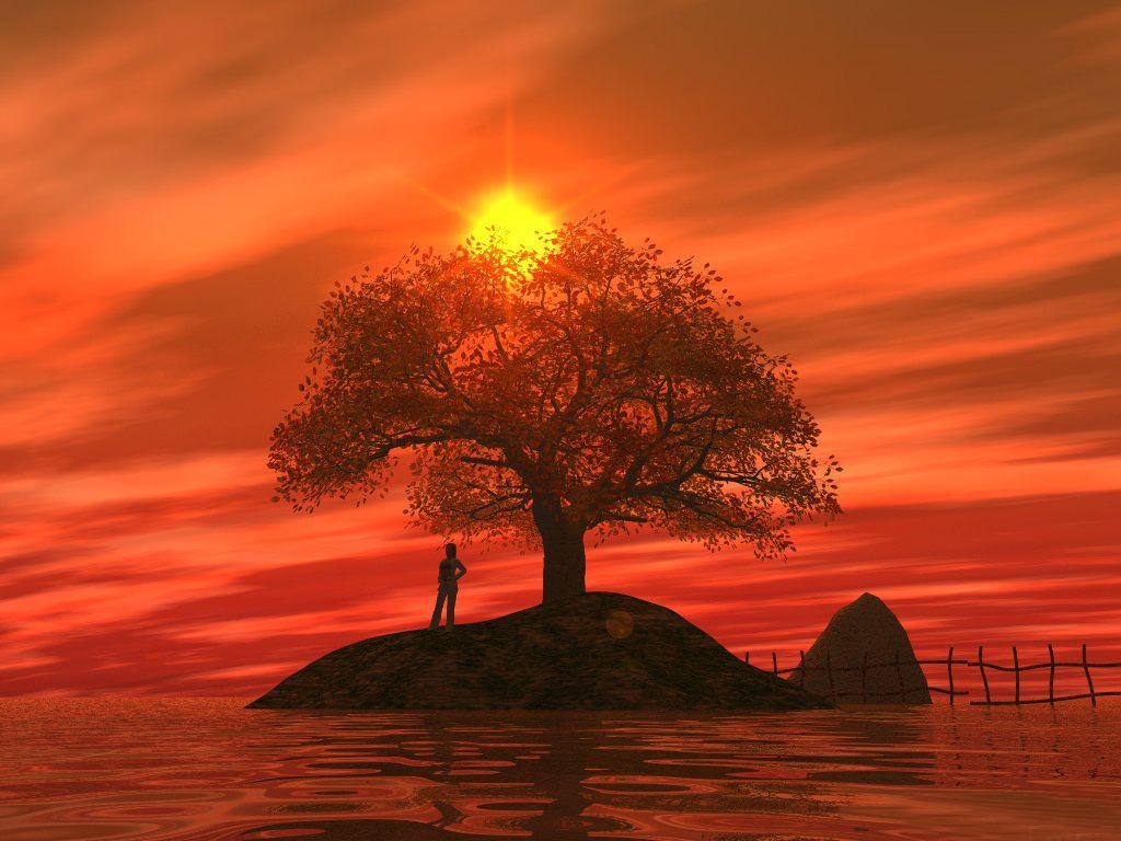 Wallpaper Background Picture Lonely Tree Desktop Themes