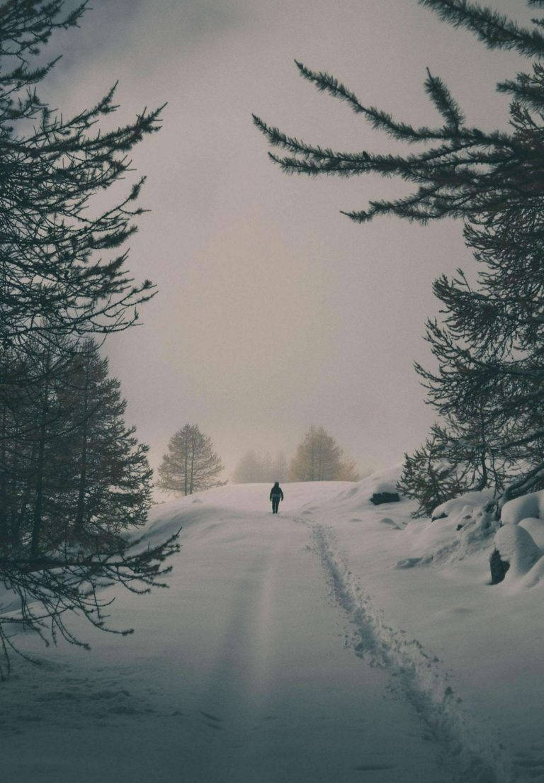 Top iPad Wallpaper Full HD 4k To Use