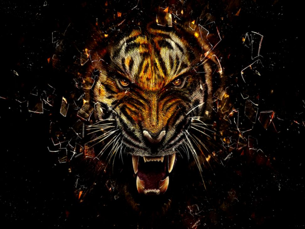 Face Tiger Art Cool Wallpapers Hd Background Wallpaper Background HD