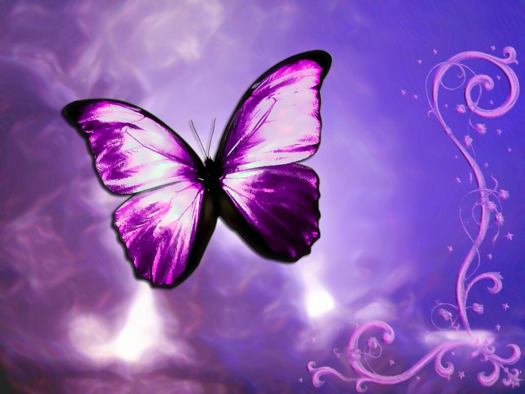 Wallpaper Animated Butterfly 3d