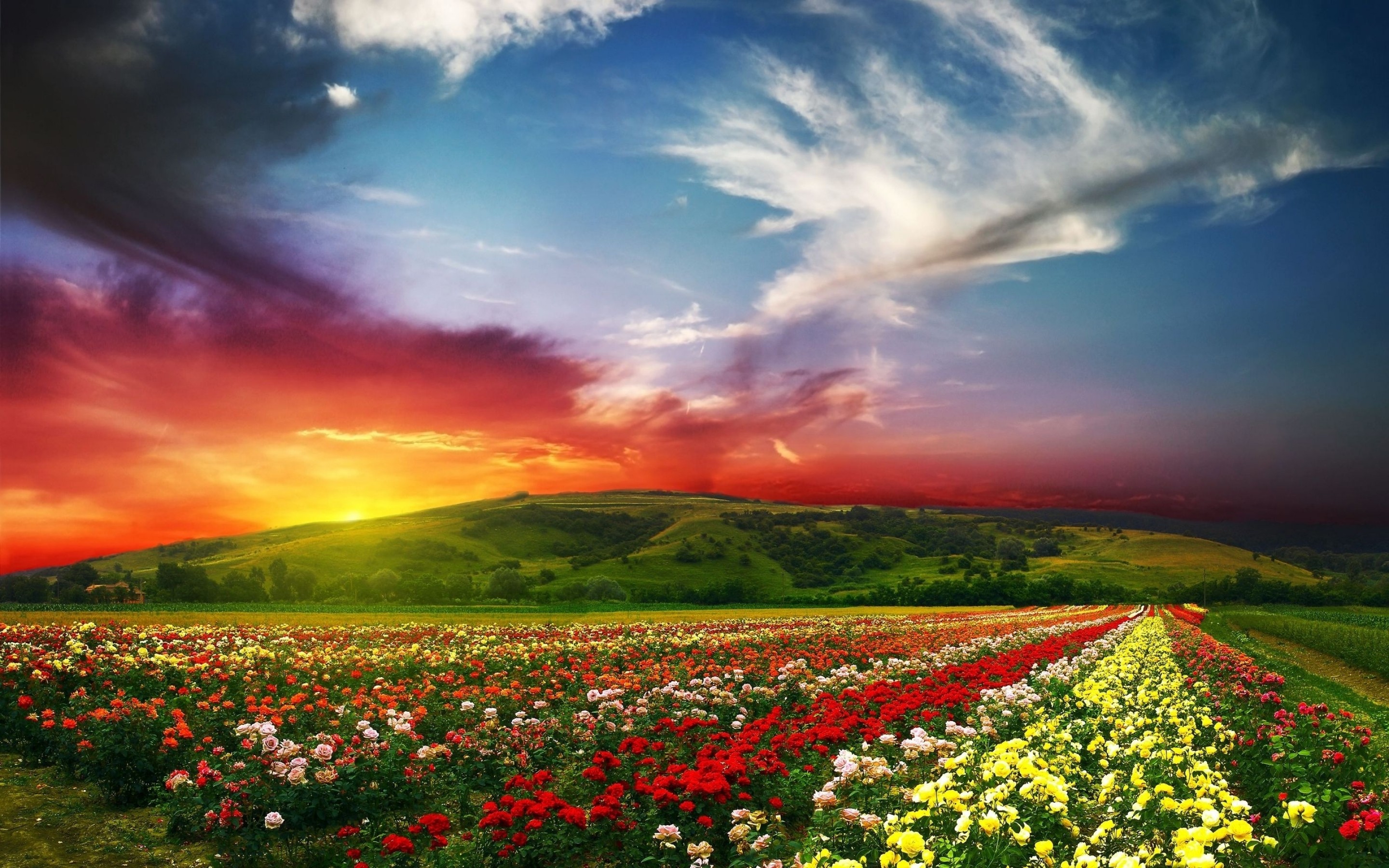 Free download Spring Landscape Desktop Wallpaper FunMozar Spring