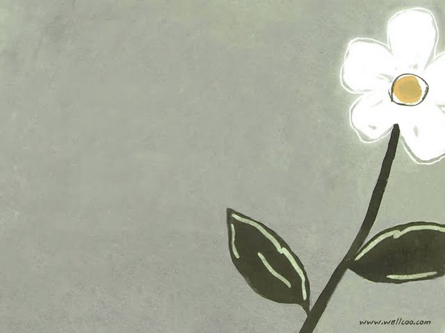 Single Daisy Simple Flower Drawings Wallpaper