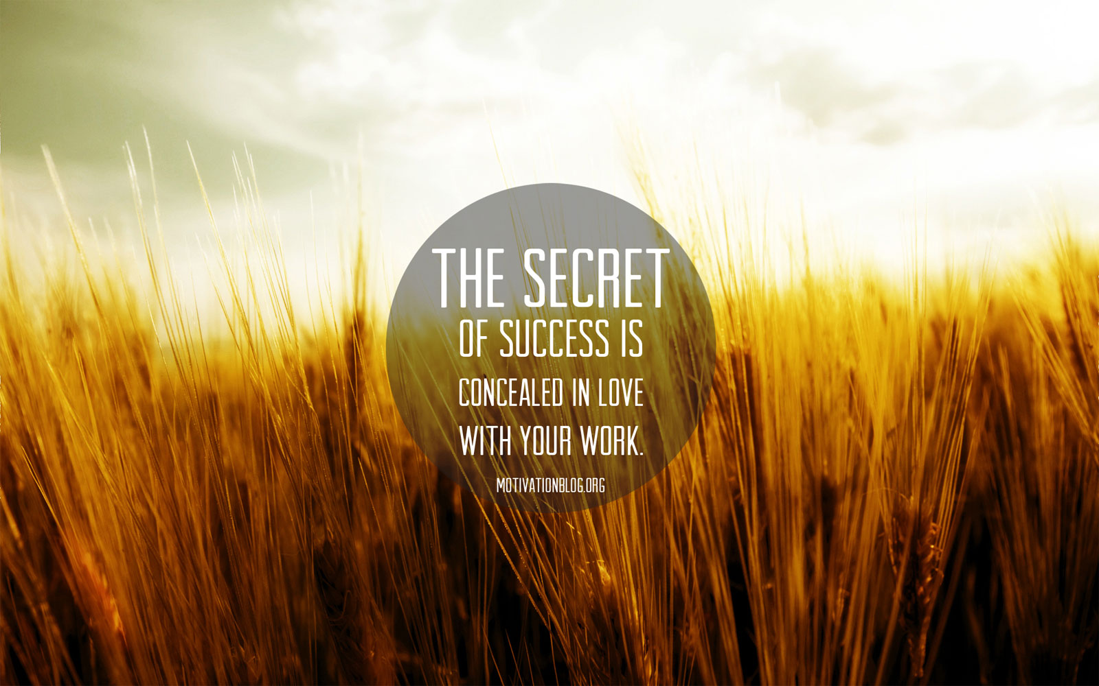 Motivational quote about success and loving your work, superimposed on a background image of a golden wheat field