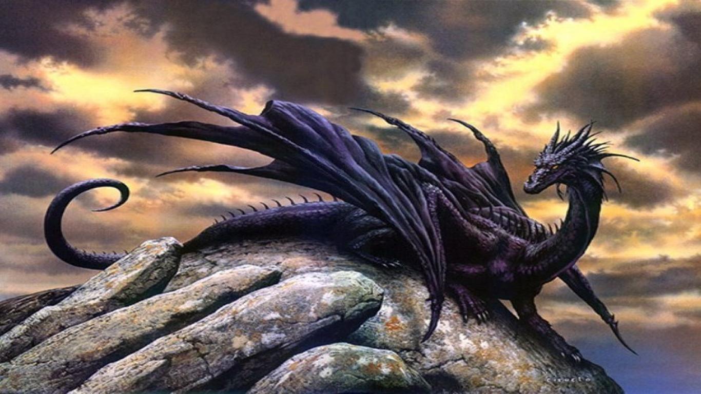 Black Dragon Image HD Wallpaper Background