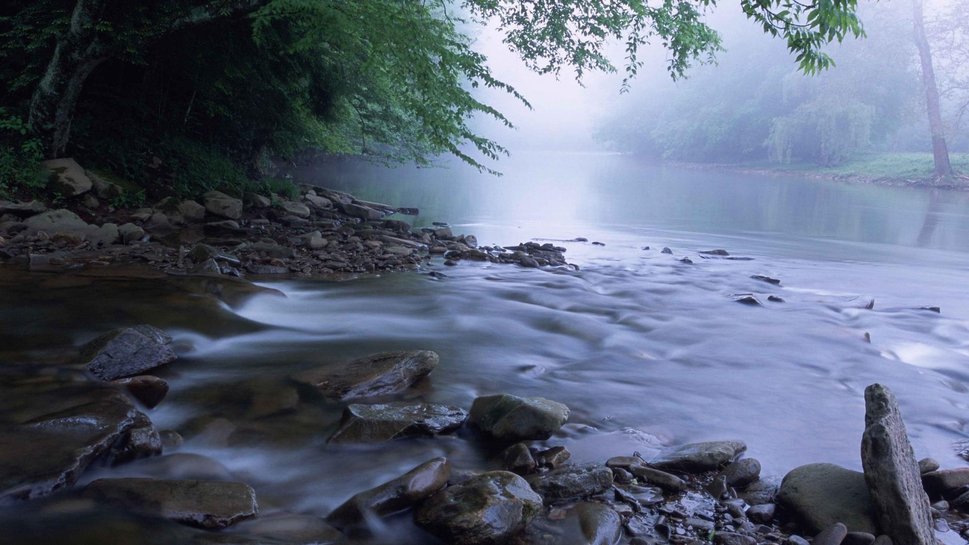 Cheat River In West Virginia Wallpaper